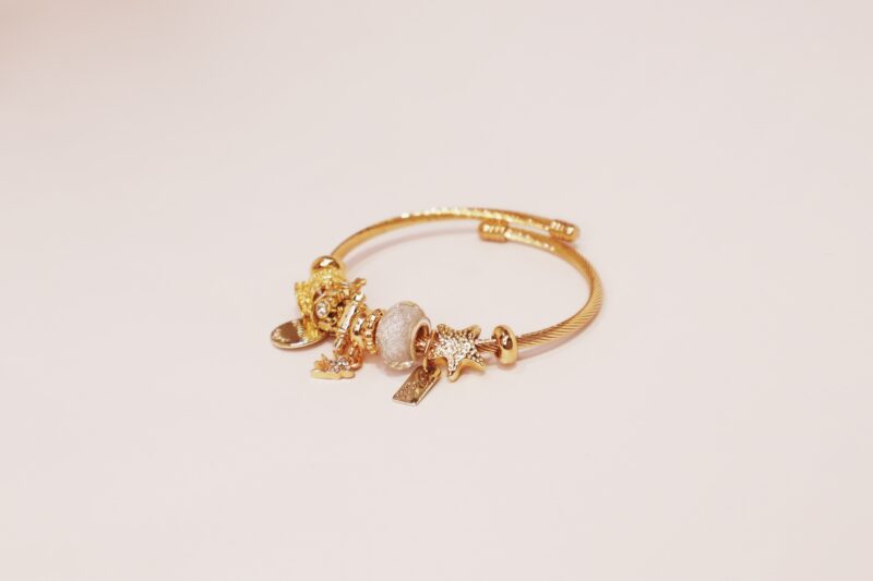 Crown Charm Bracelet - Image 4