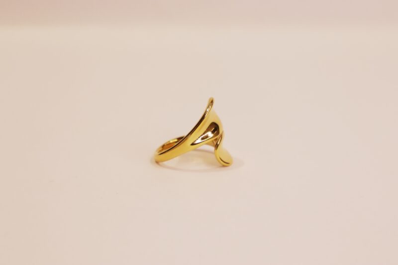 Double Curved Ring - Image 4